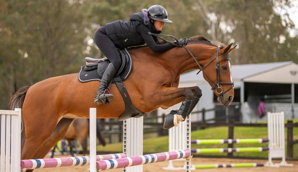 Rider-Tested, Ambassador-Approved: Exercises to Elevate Your Training