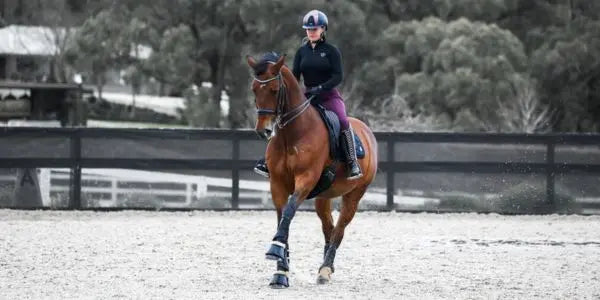 Bell Boots for Horses: Complete Guide to Protection and Fit
