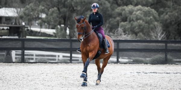 A guide to Bell Boots for horses