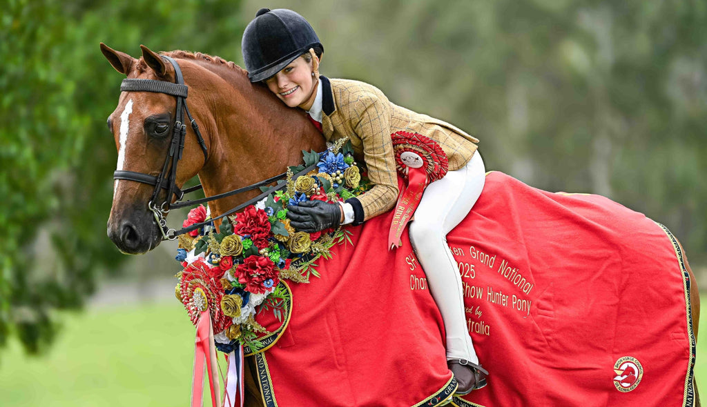 Understanding Show Horse Classes in Australia