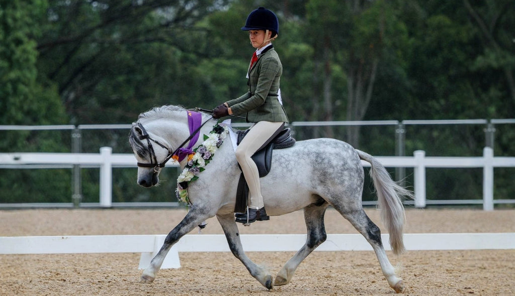 Lucy Taylor's Tips For Show Day Presentation