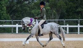 Lucy Taylor's Tips For Show Day Presentation