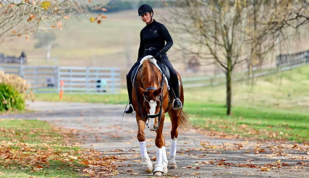 Autumn Equestrian Style Guide: Transitional Riding Outfits for Every Ride