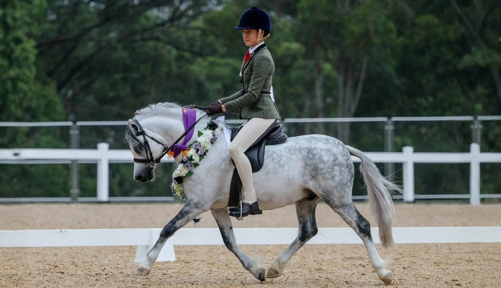 Horse Show Presentation: Expert Tips from Lucy Taylor