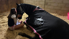 The Ultimate Horse Show Packing Checklist
