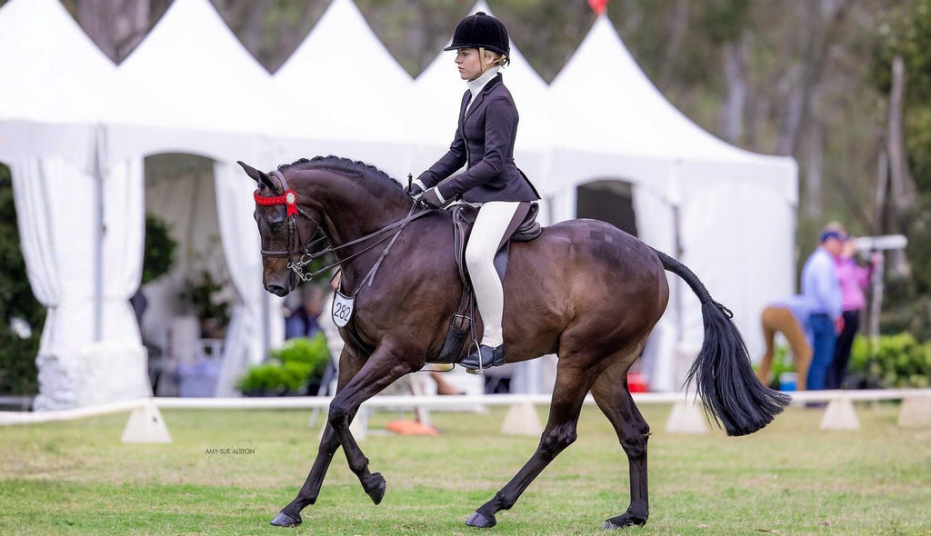 The Power of Patience: One Rider, One Horse, One Incredible Year