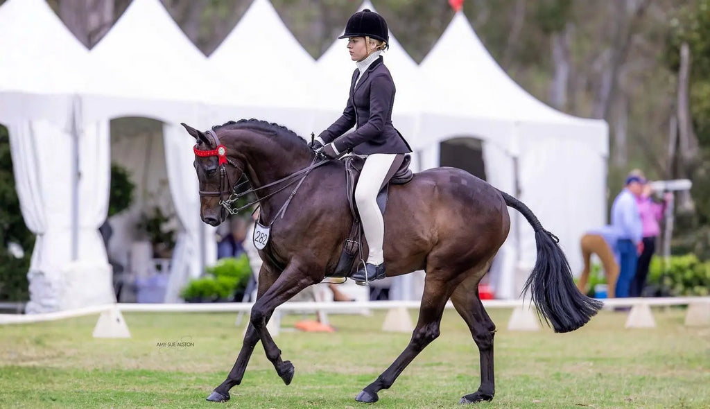 The Power of Patience: One Rider, One Horse, One Incredible Year