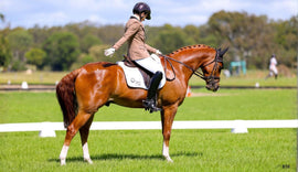 How to Choose White Riding Tights That Aren’t See Through