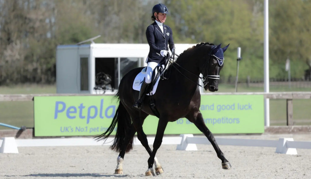 Lateral Work for Horses Explained: Leg Yield, Shoulder-In, Travers and Half Pass
