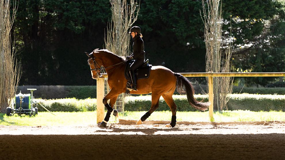 Winter Collection 2022 Sneak Peek