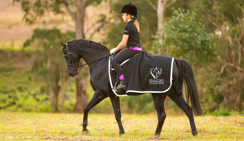 The Ultimate Quarter Sheet to Keep Your Horse Warm This Winter