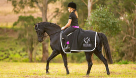 The Ultimate Quarter Sheet to Keep Your Horse Warm This Winter