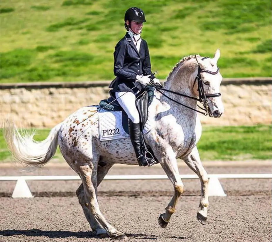 Dressage with the Everyday Horse: Tanisha Ryan’s Journey