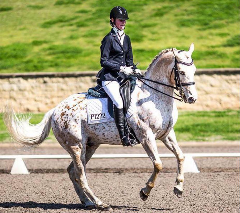 Dressage with the Everyday Horse and Tanisha Ryan