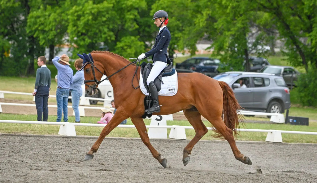 Finding Confidence and Improving at Equestrian Competitions with Tanisha Ryan