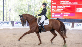 How to Improve Straightness in Your Horse: Exercises from Tanisha Ryan