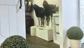 What's In My Tack Room Rider Essentials: BARE Ambassador Edition