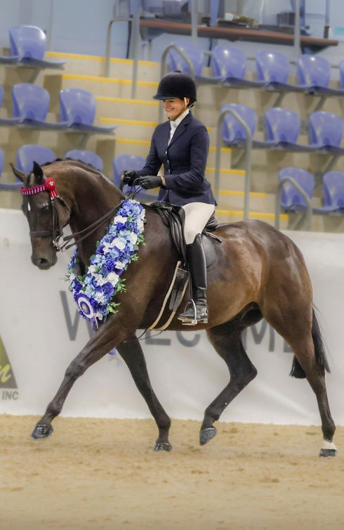 BARE UltraSlim 2-Tone Competition Tights - Vanilla & Havana Brown