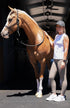 BARE Sculpt Hybrid Riding Breeches - Cocoa Moss