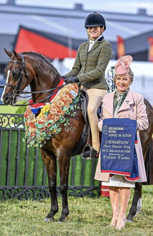 BARE UltraSlim 2-Tone Competition Tights - Hunter & Havana Brown