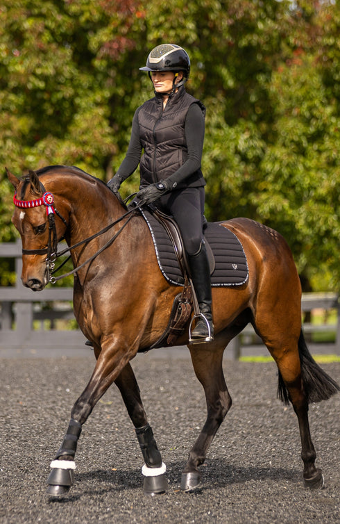 BARE Winter Series - Annabel Vest - Black