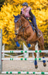 BARE Horse Wear - 'Pro Ears' Ear Bonnet - Navy