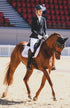 BARE Horse Wear - 'Pro Ears' Ear Bonnet - Black