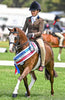 Youth 2-Tone Competition Tights - Hunter/Havana Brown BARE Equestrian