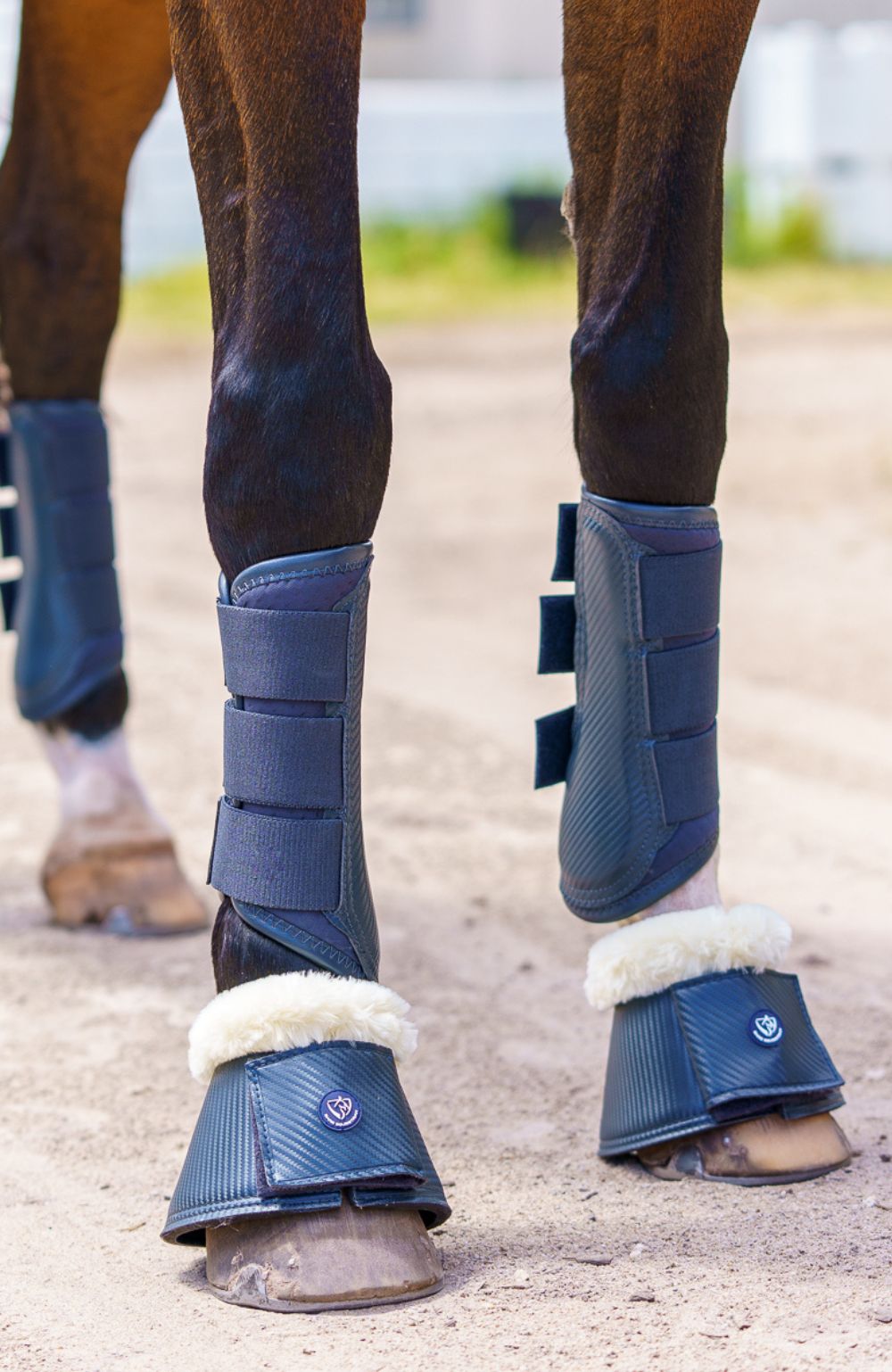 All Boots and Bandages – Bare Equestrian